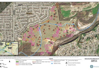 Santa Ana River Mainstem Habitat Mitigation & Restoration