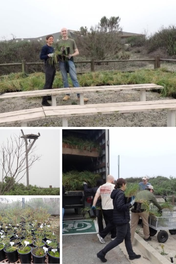 UltraSystems Environmental Inc.